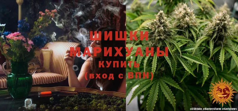 Марихуана THC 21%  Щёкино 